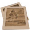 wp-content/themes/zenlite-black-mandarin/images/gallery.png