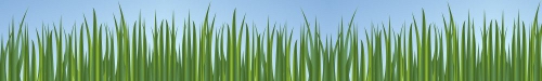 wp-content/themes/zenlite-black-mandarin/images/headers/header2-thumbnail.jpg