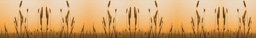 wp-content/themes/zenlite-black-mandarin/images/headers/header4-thumbnail.jpg