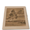 wp-content/themes/zenlite-black-mandarin/images/image.png